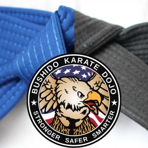 Subscription: Leadership Karate